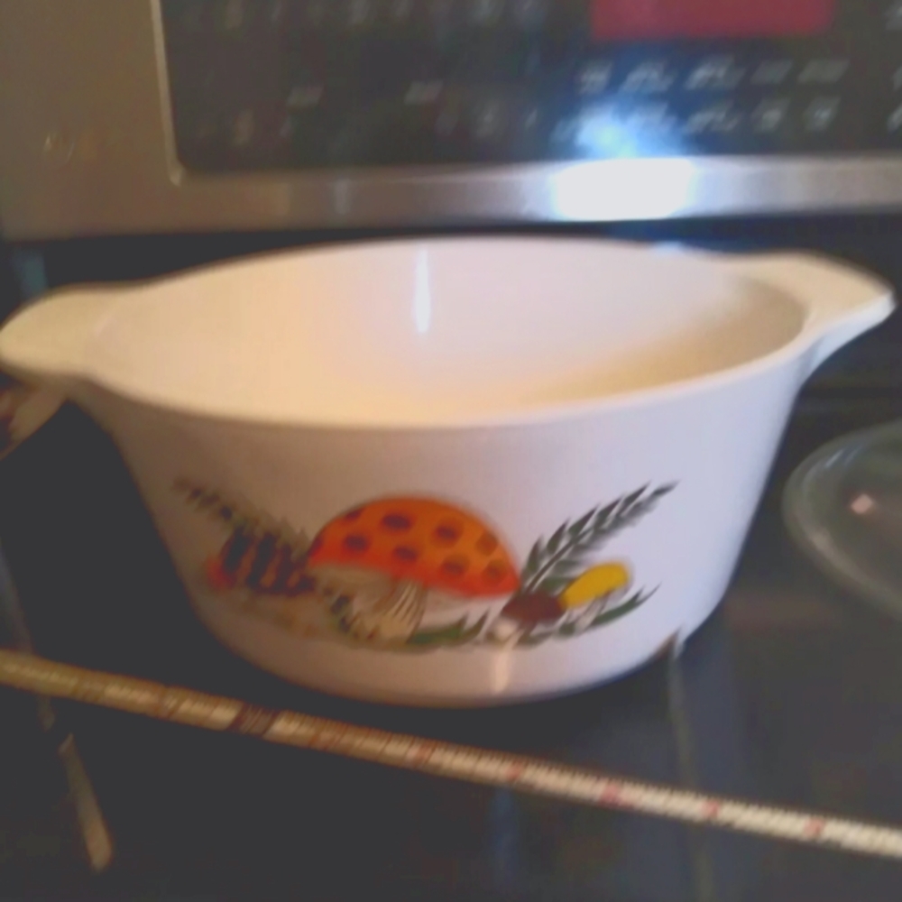 Huge rare Merry mushrooms  sears  10 4 quart casserole Dish An Lid Vintage Huge